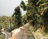 Rolling_Stock_008~1.jpg